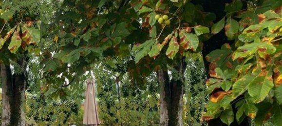 Villa de 6 habitaciónes en Modena, Italy No. 286311 8