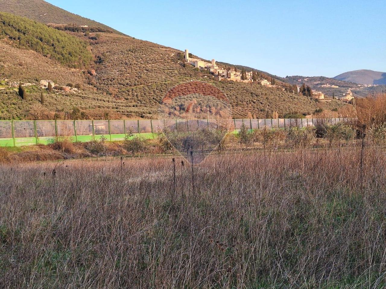 1غرفة قطعة أرض في Trevi, Italy رقم 41366