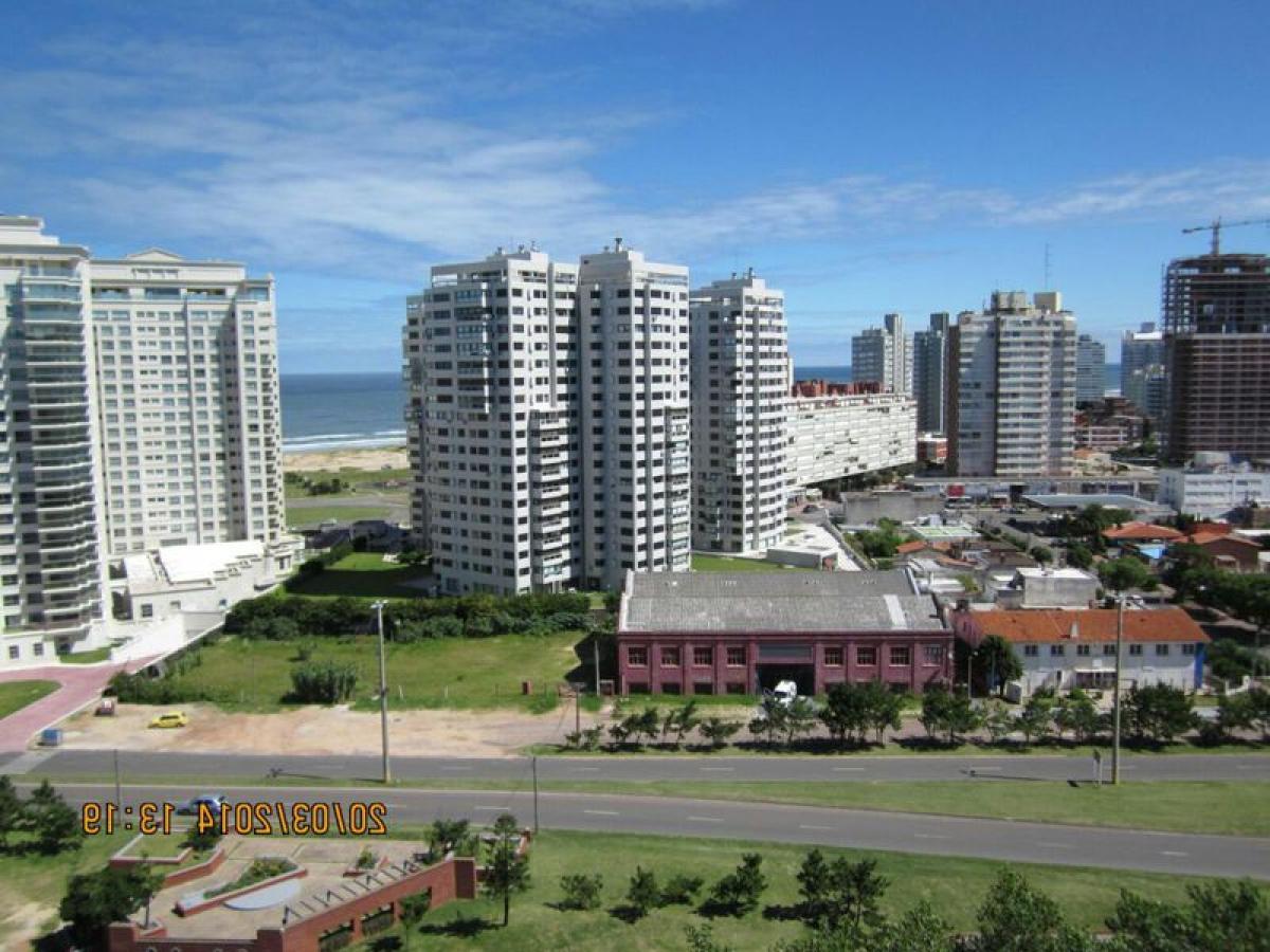 Студия в Мальдонадо, Уругвай № 7725