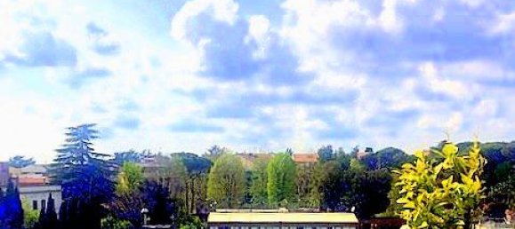 Пентхаус с 4 комнатами в Рим, Италия № 234255 39