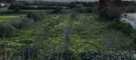 3-salle Maison à Porto Torres, Italy No. 256091 24