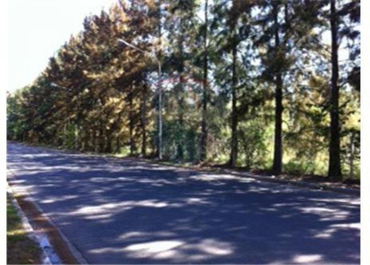 Grundstück in Pilar, Argentina, Nr. 38116