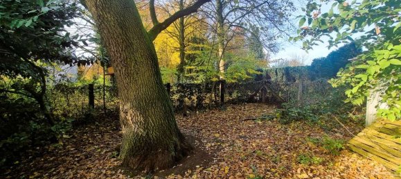 4-Zimmer Wohnung in Gelsenkirchen, Germany, Nr. 70234 11