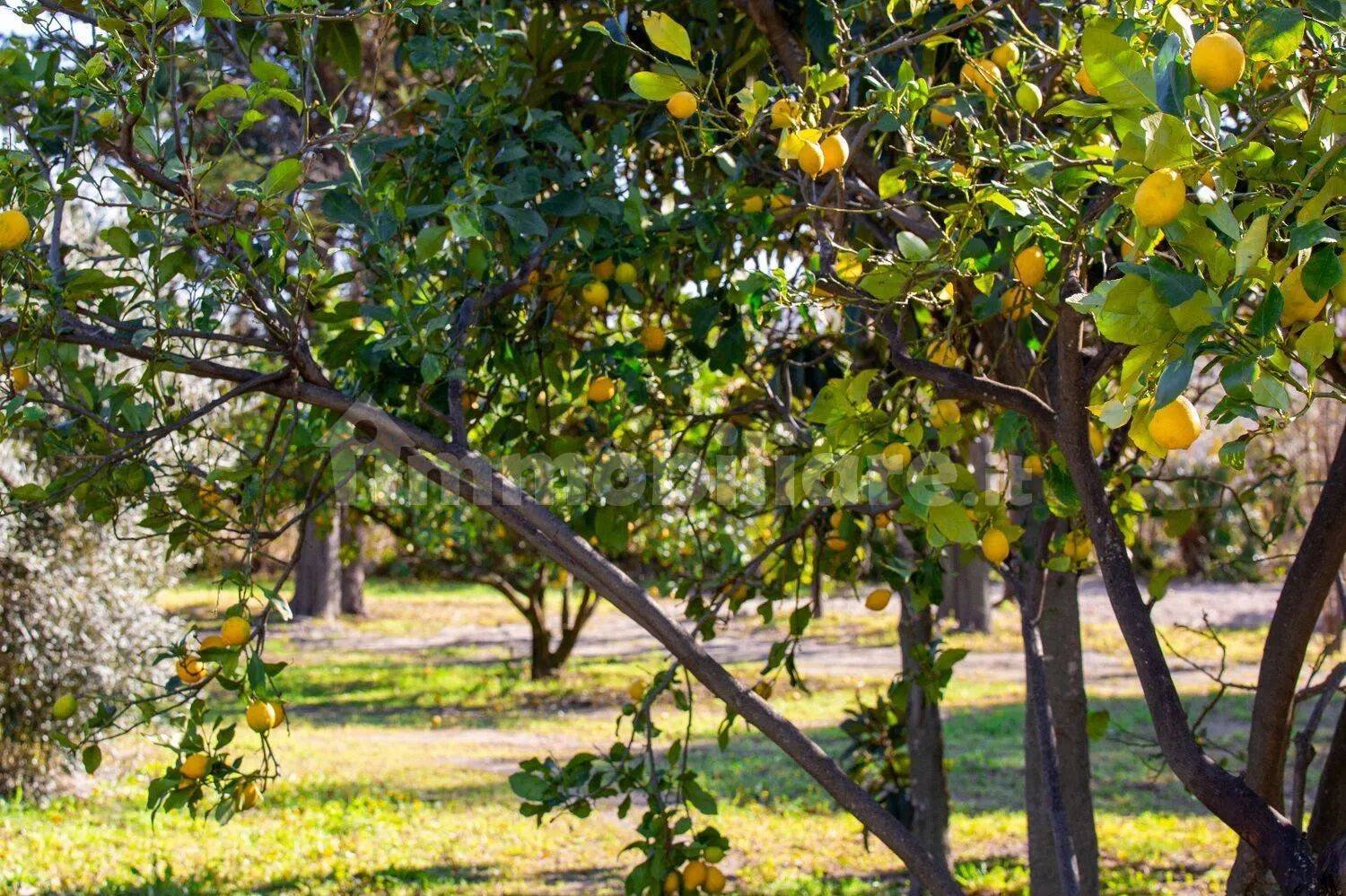 500m² Land in Pietra Ligure, Italy No. 273522