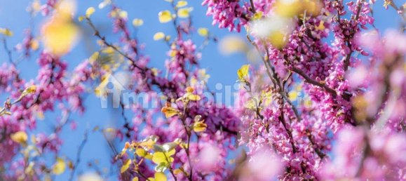 500m² Land in Pietra Ligure, Italy No. 273522 2