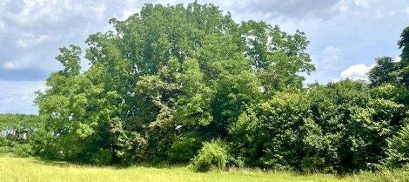  Land in Landshut, Germany No. 239848 2