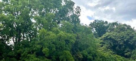  Land in Landshut, Germany No. 239848 5