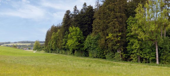Grundstück in Frankenmarkt, Austria, Nr. 133513 2