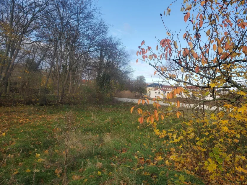  قطعة أرض في Riesa, Germany رقم 24096