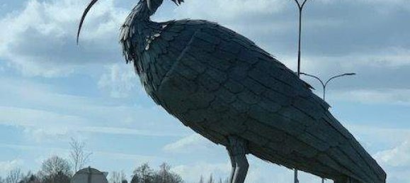 4-Zimmer Haus in Kautzen, Austria, Nr. 14426 13