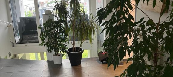 2 chambres Bungalow à Limburg-Weilburg, Germany No. 364824 5