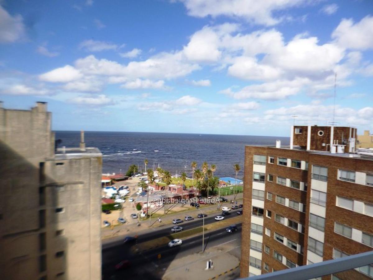 استوديو في Montevideo, Uruguay رقم 12221