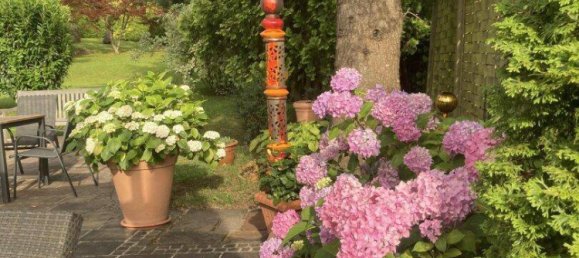 343m² Office in Leutschach an der Weinstrasse, Austria No. 6953 4