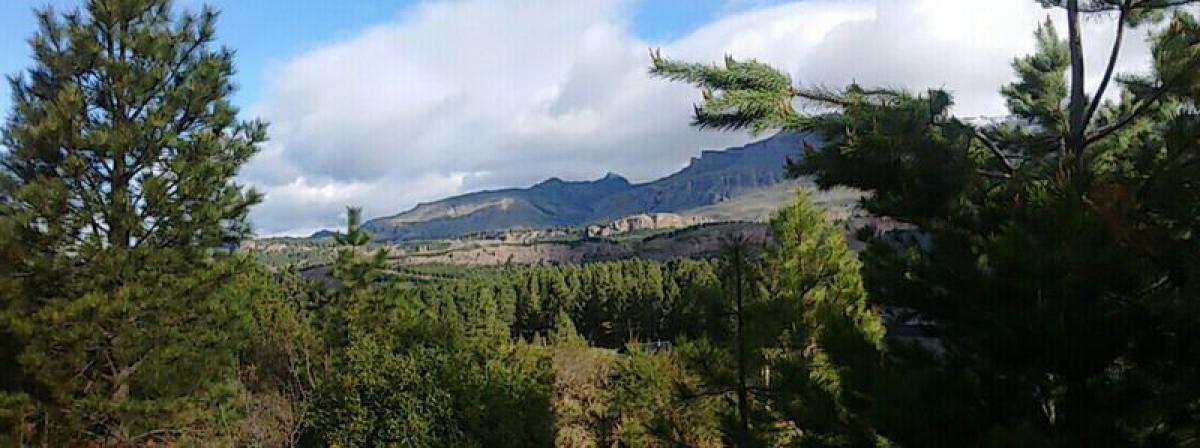 Земельный участок в Неукен, Аргентина № 49271