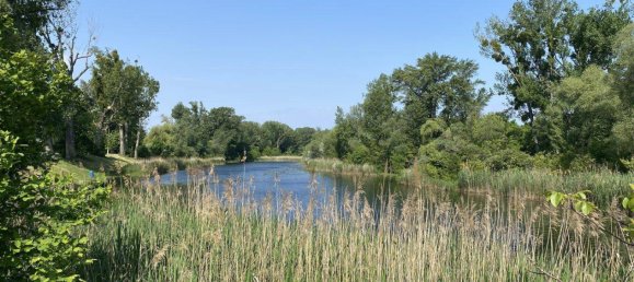 5 rooms House in Vienna, Austria No. 229318 22