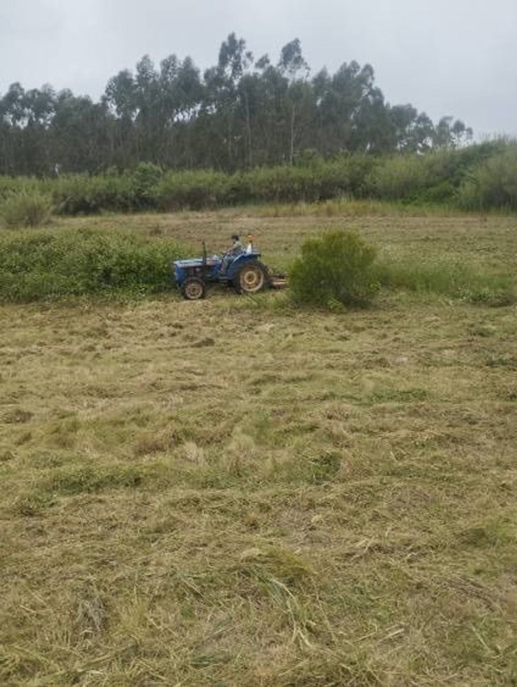  Land in Lourinha, Portugal No. 334526