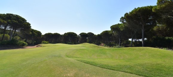 2 rooms Apartment in Narbolia, Italy No. 276450 10