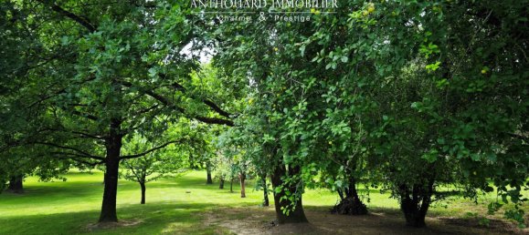 4 bedrooms House in Bergerac, France No. 298725 15