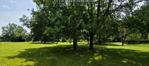 4 bedrooms House in Bergerac, France No. 298725 16