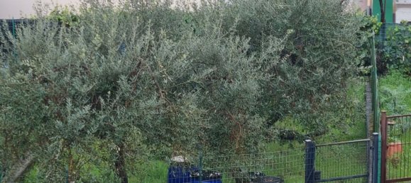 استوديو في Montale, Italy رقم 251577 24