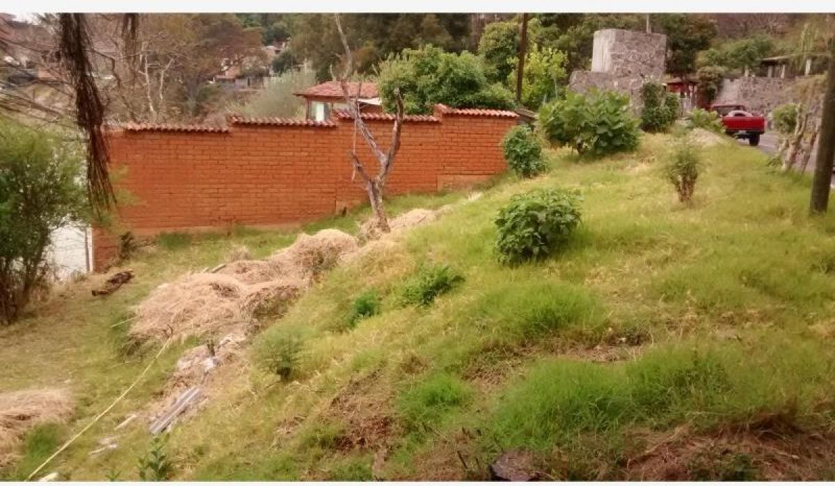 Terrain à Heroica Matamoros, Mexico No. 205348