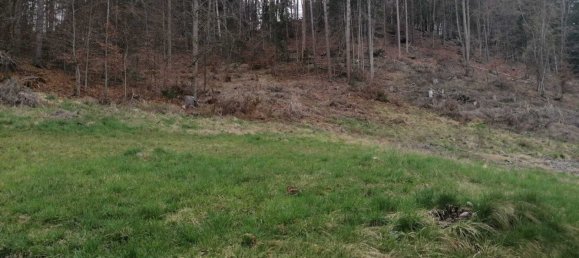  قطعة أرض في Velden am Worther See, Austria رقم 132076 2