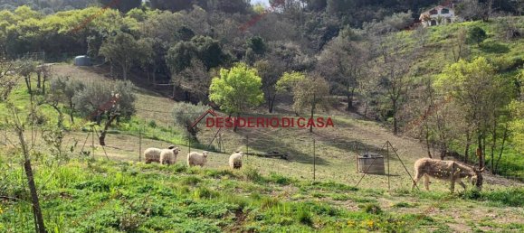 3 Schlafzimmer Villa in Cefalù, Italy, Nr. 122399 19