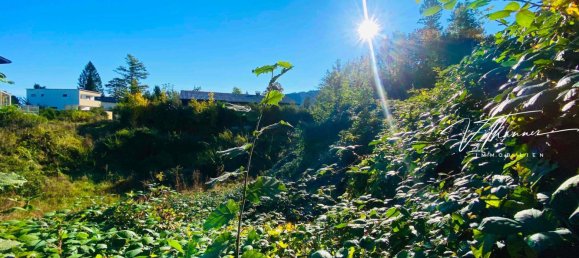  Land in Gmunden, Austria No. 213589 2