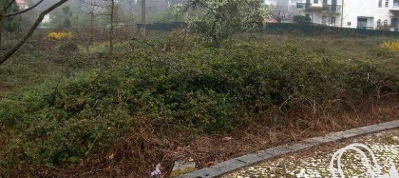 Grundstück in Viseu, Portugal 561m², Nr. 92294 2