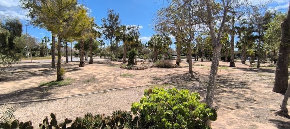 3 bedrooms Villa in Guardamar del Segura, Spain No. 164878 26