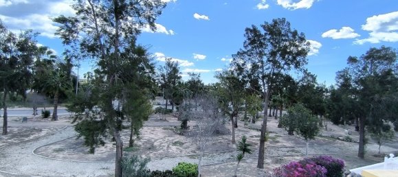 3 bedrooms Villa in Guardamar del Segura, Spain No. 164878 21