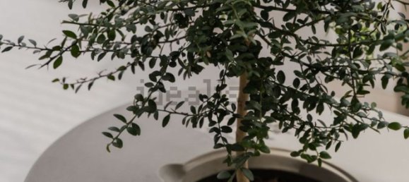 Ático de 2 dormitorios en La Quinta, Spain No. 86619 23