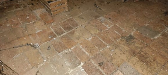 7 rooms House in Lugo, Italy No. 175769 27