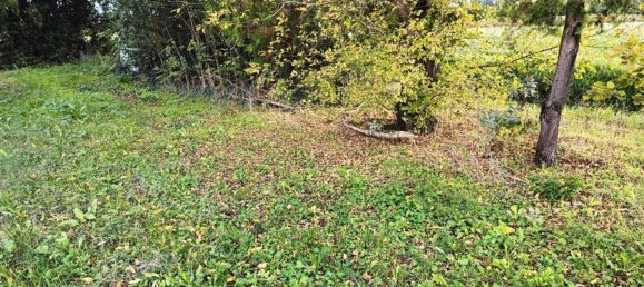 7 rooms House in Lugo, Italy No. 175769 6