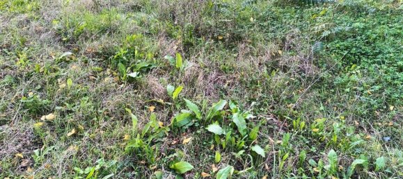 7 rooms House in Lugo, Italy No. 175769 10