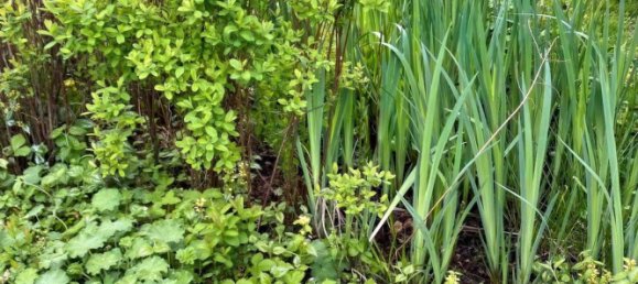 4 Schlafzimmer Stadthaus in Altötting, Germany, Nr. 180729 4