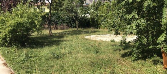 4 rooms House in Klosterneuburg, Austria No. 179618 10