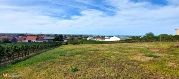  Land in Gols, Austria No. 116819 2