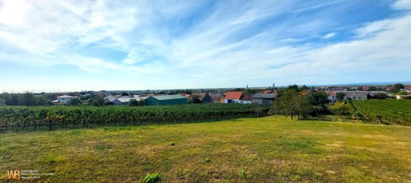  Land in Gols, Austria No. 116819 4