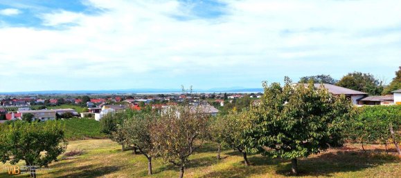  Land in Gols, Austria No. 116819 6