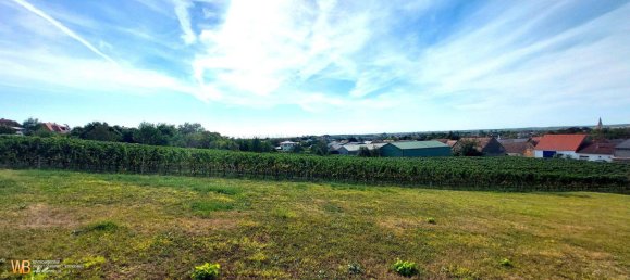  Land in Gols, Austria No. 116819 5