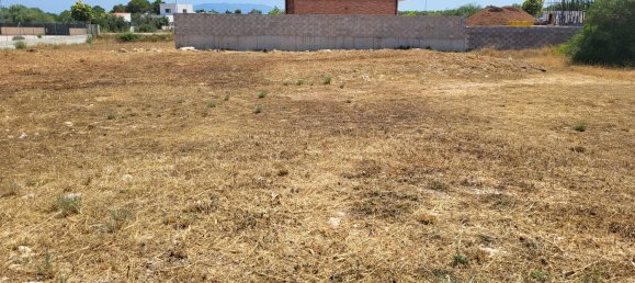  Land in Roquetes, Spain No. 155218 3