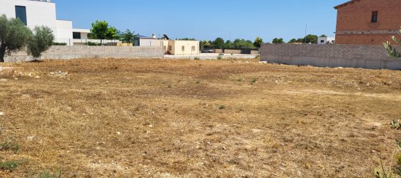  Land in Roquetes, Spain No. 155218 2