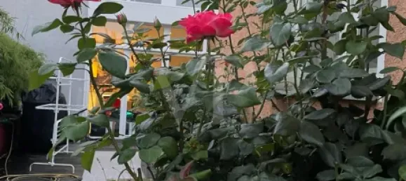 4 Schlafzimmer Wohnung in Oberhavel, Germany, Nr. 90158 21