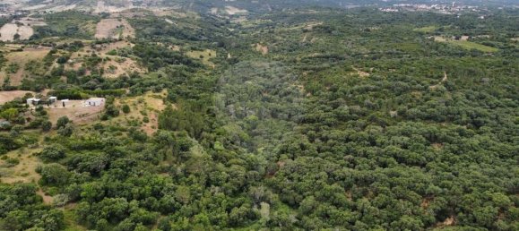 20600m² Land in Azambuja, Portugal No. 65010 6