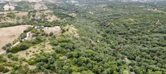 20600m² Land in Azambuja, Portugal No. 65010 5