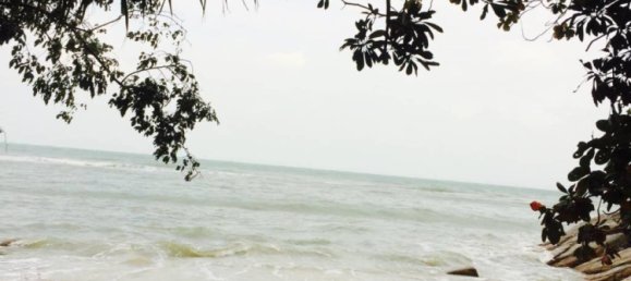  Commercial property in Wiang Sa, Thailand No. 24895 6