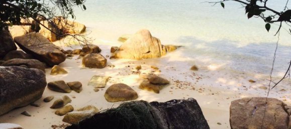  Commercial property in Wiang Sa, Thailand No. 24895 5