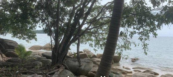  Commercial property in Wiang Sa, Thailand No. 24895 4