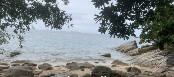  Commercial property in Wiang Sa, Thailand No. 24895 8